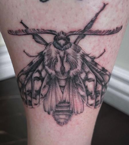 tattoos/ - Sadie Gabriella Moth Tattoo - 144564
